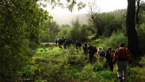 Wander- und Trekking Touren