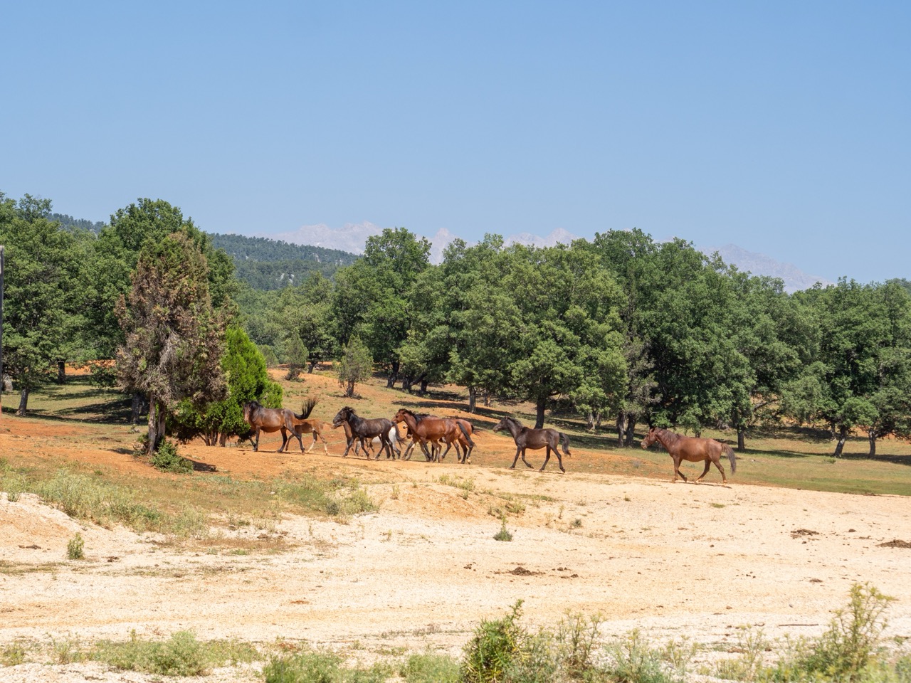Canyons of the Taurus Mountains — 10